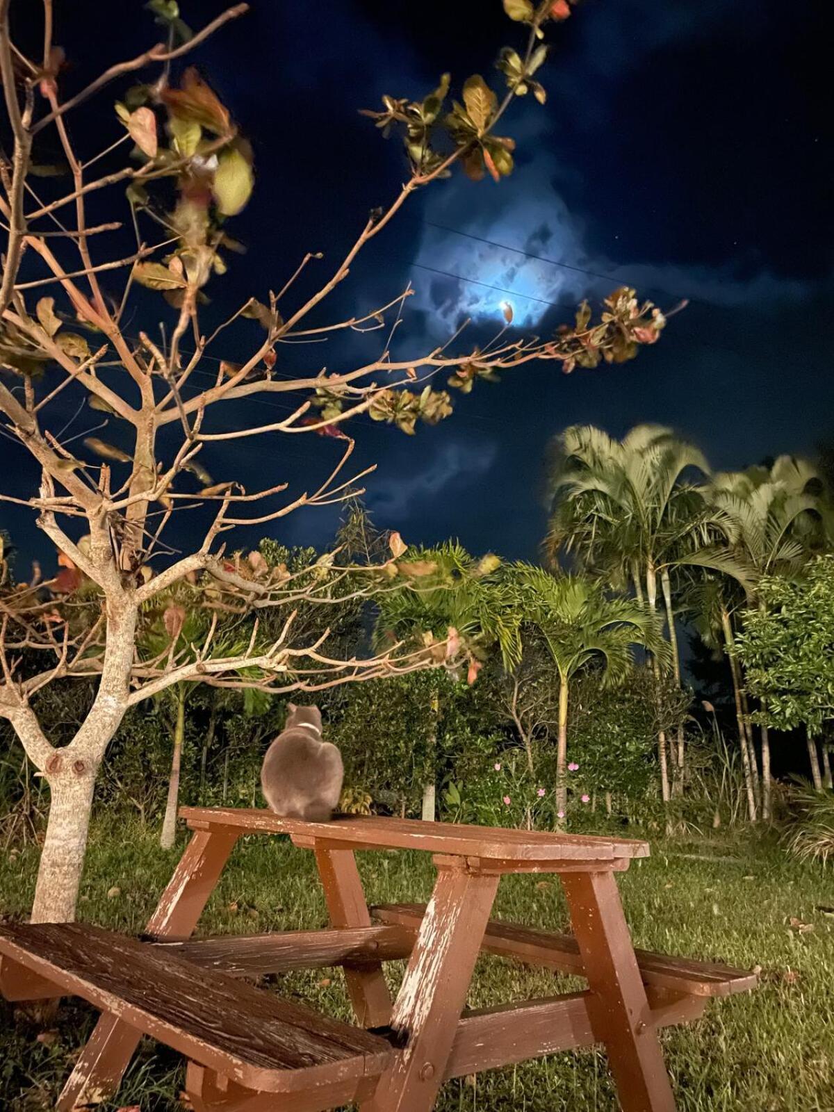Pension Ipe Nago Buitenkant foto